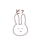 あいうえおうさぎ①（個別スタンプ：33）