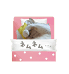 ショコラマロン①（個別スタンプ：3）