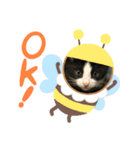 ハチワレめいちゃん2（個別スタンプ：5）