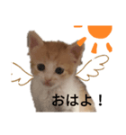 ちゃちゃだよ！（個別スタンプ：1）