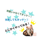 MLC【上昇マインド編】（個別スタンプ：3）