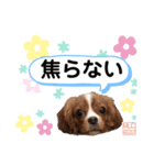 MLC【上昇マインド編】（個別スタンプ：5）