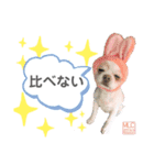 MLC【上昇マインド編】（個別スタンプ：6）