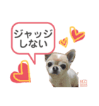 MLC【上昇マインド編】（個別スタンプ：7）
