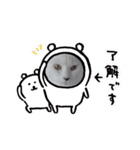 うーにゃんみーにゃん02（個別スタンプ：11）