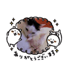 うーにゃんみーにゃん02（個別スタンプ：14）