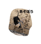 なかよくして（個別スタンプ：1）