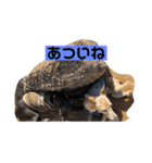 なかよくして（個別スタンプ：2）