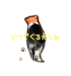 いいちゃんのスタンプ（個別スタンプ：1）