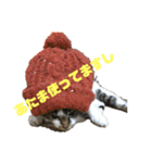 いいちゃんのスタンプ（個別スタンプ：2）