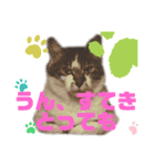 いいちゃんのスタンプ（個別スタンプ：6）