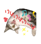 いいちゃんのスタンプ（個別スタンプ：8）
