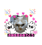 ミータ郎ファミリー夏バテに注意（個別スタンプ：11）