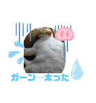 ミータ郎ファミリー夏バテに注意（個別スタンプ：18）
