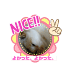 ミータ郎ファミリー夏バテに注意（個別スタンプ：19）