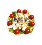 自炊スピーキング（個別スタンプ：1）