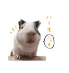 ハーモニィセンター②（個別スタンプ：1）