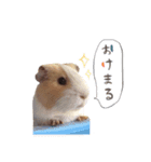 ハーモニィセンター②（個別スタンプ：2）