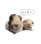 ハーモニィセンター②（個別スタンプ：7）