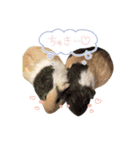 ハーモニィセンター②（個別スタンプ：8）
