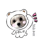 まるぷーぽんず♥/（個別スタンプ：2）