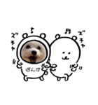 まるぷーぽんず♥/（個別スタンプ：5）