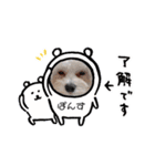 まるぷーぽんず♥/（個別スタンプ：6）
