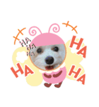 まるぷーぽんず♥/（個別スタンプ：7）