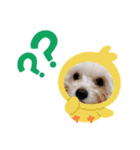 まるぷーぽんず♥/（個別スタンプ：9）