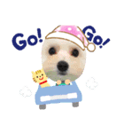 まるぷーぽんず♥/（個別スタンプ：10）
