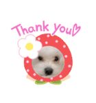 まるぷーぽんず♥/（個別スタンプ：12）