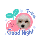 まるぷーぽんず♥/（個別スタンプ：14）