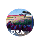 YANSA DAIKO（個別スタンプ：22）