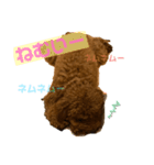 チョココレ1（個別スタンプ：3）