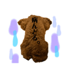 チョココレ1（個別スタンプ：10）
