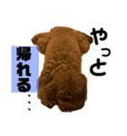 チョココレ1（個別スタンプ：12）