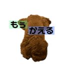 チョココレ1（個別スタンプ：14）