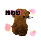 チョココレ1（個別スタンプ：21）
