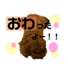 チョココレ1（個別スタンプ：22）