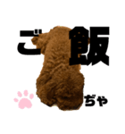 チョココレ1（個別スタンプ：24）