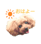 未来 スタンプ（個別スタンプ：1）
