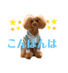 未来 スタンプ（個別スタンプ：3）