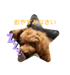 未来 スタンプ（個別スタンプ：4）