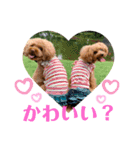 未来 スタンプ（個別スタンプ：15）