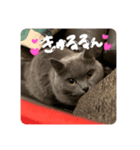 じゅうぞうの日常スタンプ（個別スタンプ：1）