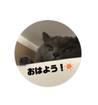 じゅうぞうの日常スタンプ（個別スタンプ：7）