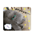 じゅうぞうの日常スタンプ（個別スタンプ：8）