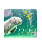 あきちゃん牛（個別スタンプ：8）