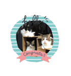 こもじろう♪スタンプ（個別スタンプ：5）