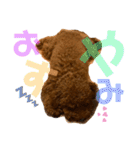 チョコタの日常02（個別スタンプ：1）